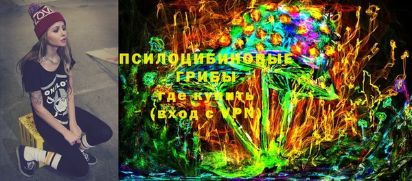 ГАЛЛЮЦИНОГЕННЫЕ ГРИБЫ Алексин