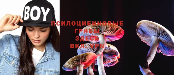 метадон Алексеевка