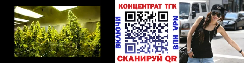 ссылка на мегу рабочий сайт  Зуевка  Дистиллят ТГК гашишное масло  где продают наркотики 
