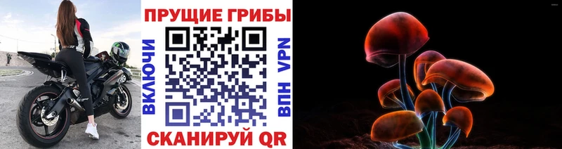 Галлюциногенные грибы мухоморы  что такое наркотик  Зуевка 