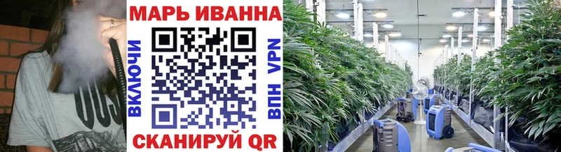 blacksprut зеркало  Зуевка  Канабис Bruce Banner 